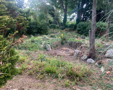 Before image of Vine Close Community Garden