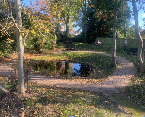 After photo of Vine Close Community Garden - now with a clear path around a pond